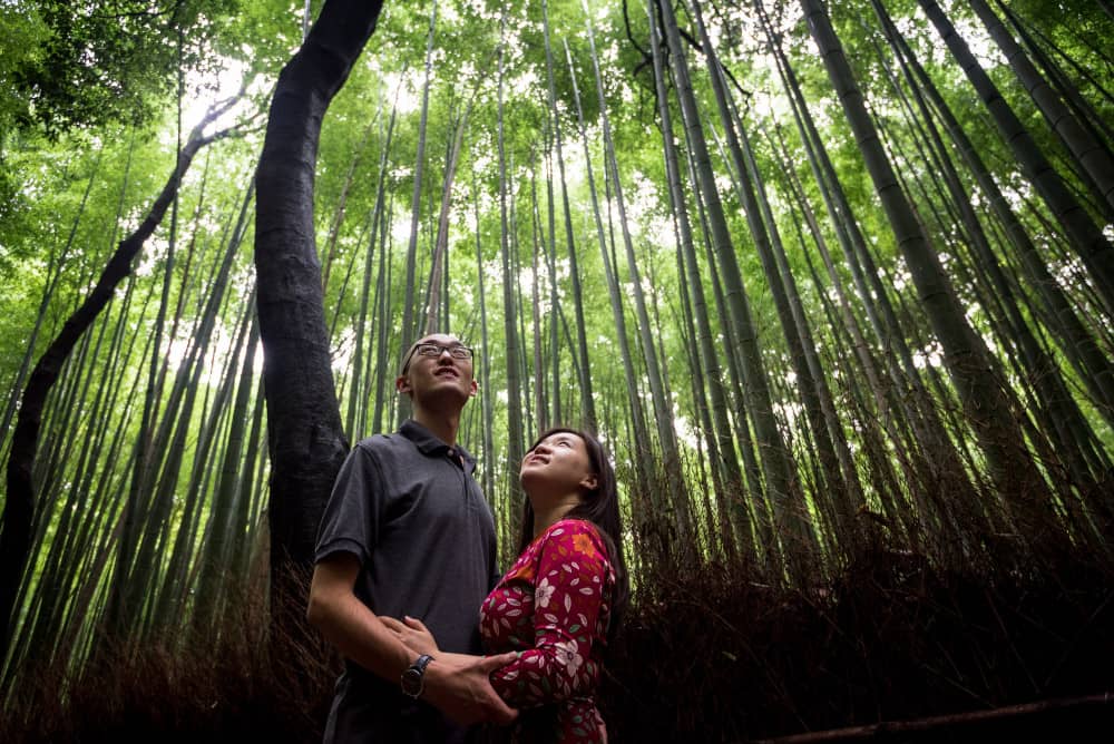 Kyoto Daily Tours